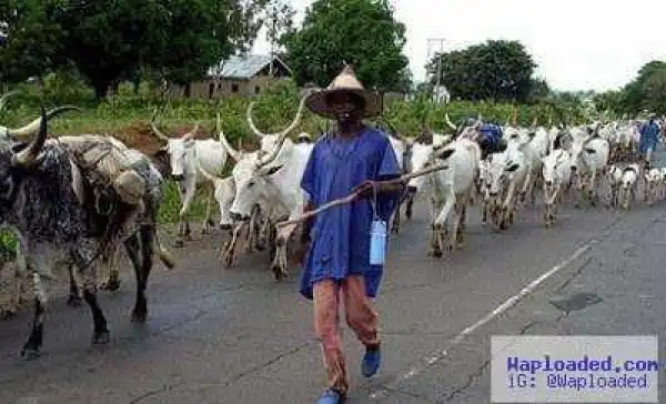 Herdsmen Launch Fresh Attacks, Kill Over 11 In Delta & Benue